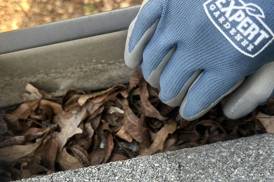 Gutter Cleaning Grapevine TX