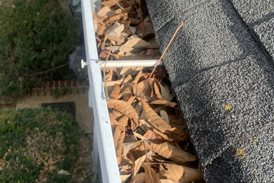 Gutter Cleaning Grapevine TX